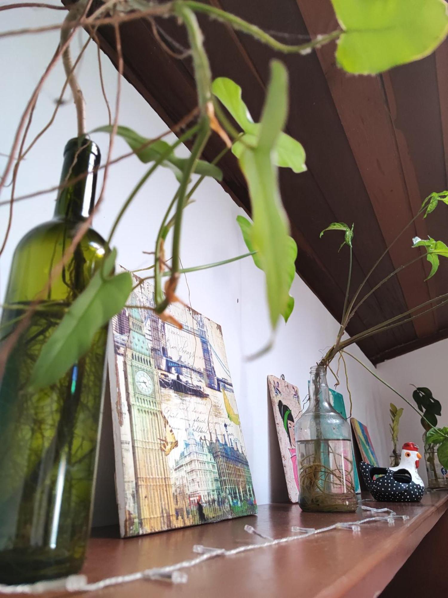 Ganesha Hostel Praia de Pipa エクステリア 写真